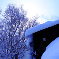 雪の朝だ