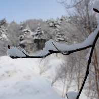 雪の美