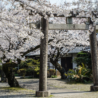 姫路神社