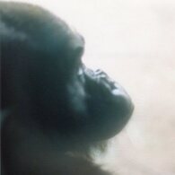 gorilla's