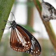 生物園２０２１～④