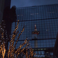 reflection