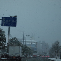 これが大阪！？