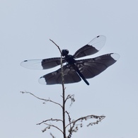 空へ
