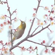 え～マイクテストです！