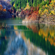 colors reflection