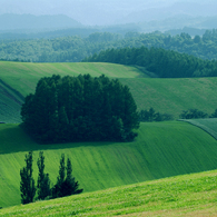 うねる大地　北海道美瑛