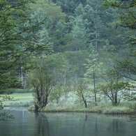 朝靄
