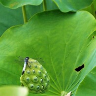ひと休み