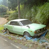 草ヒロ　レオーネ