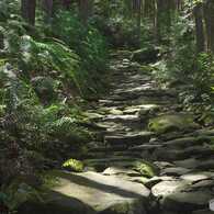 石畳道の美しさ