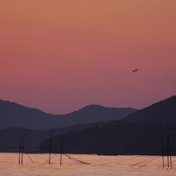 夕暮れ