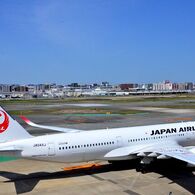 JAL 239