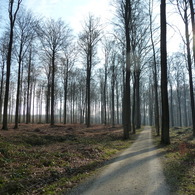 P1000420