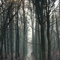 P1000336