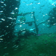 P9100059
