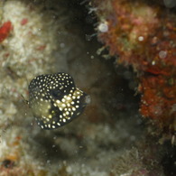 P9100061