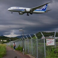 ANA 233