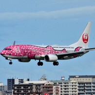 JAL 254