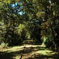 DSC_01507 (28)