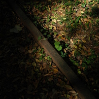 DSC_01507 (36)