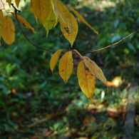 DSC_01507 (54)