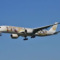 JAL 300   がんばろう日本！