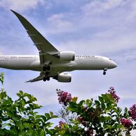 JAL 312