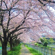 Straight road