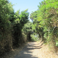 Straight road
