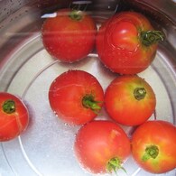 ｔｏｍａｔｏ