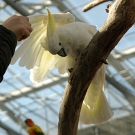 掛川花鳥園