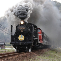 SLやまぐち号2010