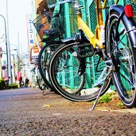 The road sees a bicycle