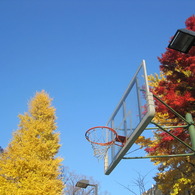 uni Autum