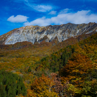 錦繍の山　朝