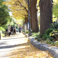 山下公園通り①