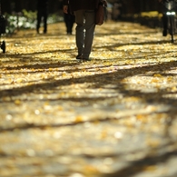autumn for tokyoites 2021