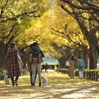 autumn for tokyoites 2021