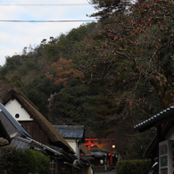愛宕神社一の鳥居③