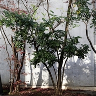 西麻布界隈　３