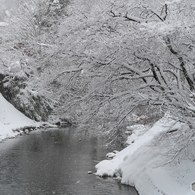 宮川・雪景色