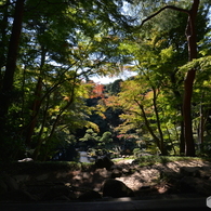 殿ヶ谷戸庭園Ⅰ