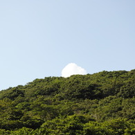 ひょっこり