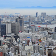 模型風