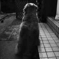 思い出す