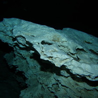 P9090444