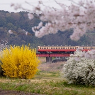 小湊鉄道の春！⑥