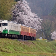 小湊鉄道の春！⑨