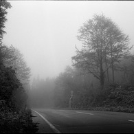 IMG003